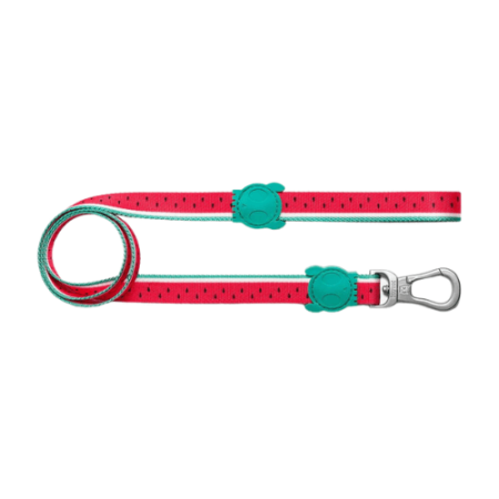 Zee.dog povodec Lola