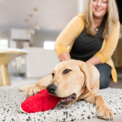 Pet P.L.A.Y. Plišasta igrača Lubenica - Image 2