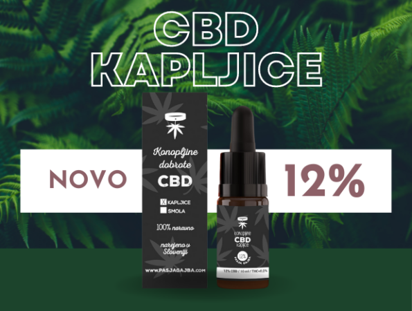 CBD za pse