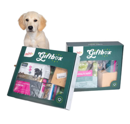darilo-za-pasjega-mladička-giftbox-prins