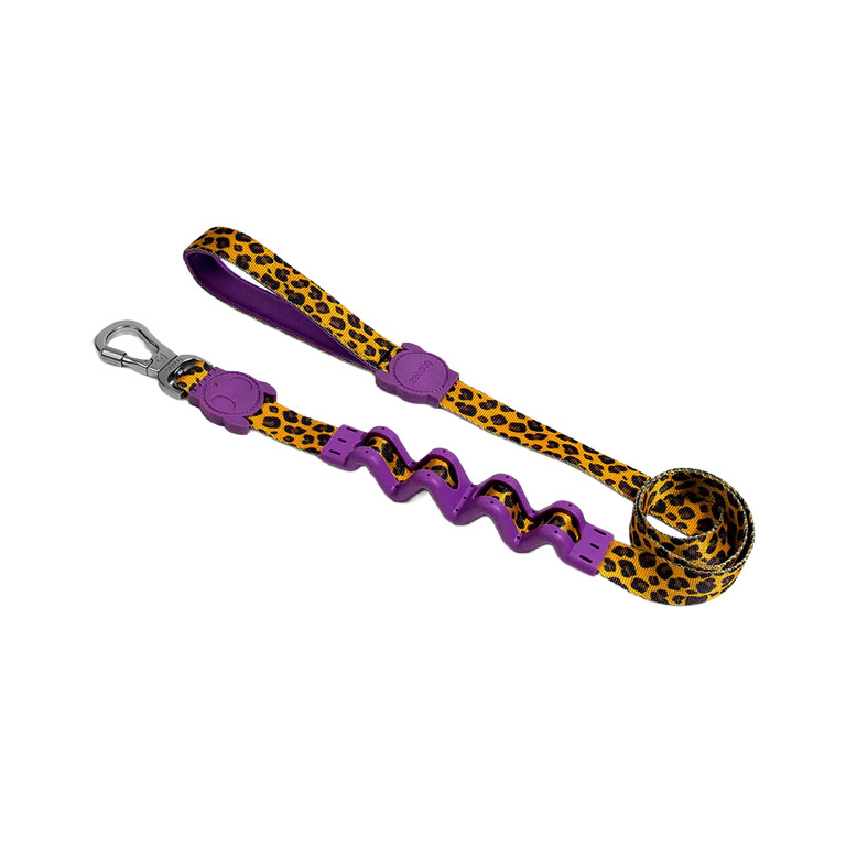 Zeedog-ruff-leash-honey-1