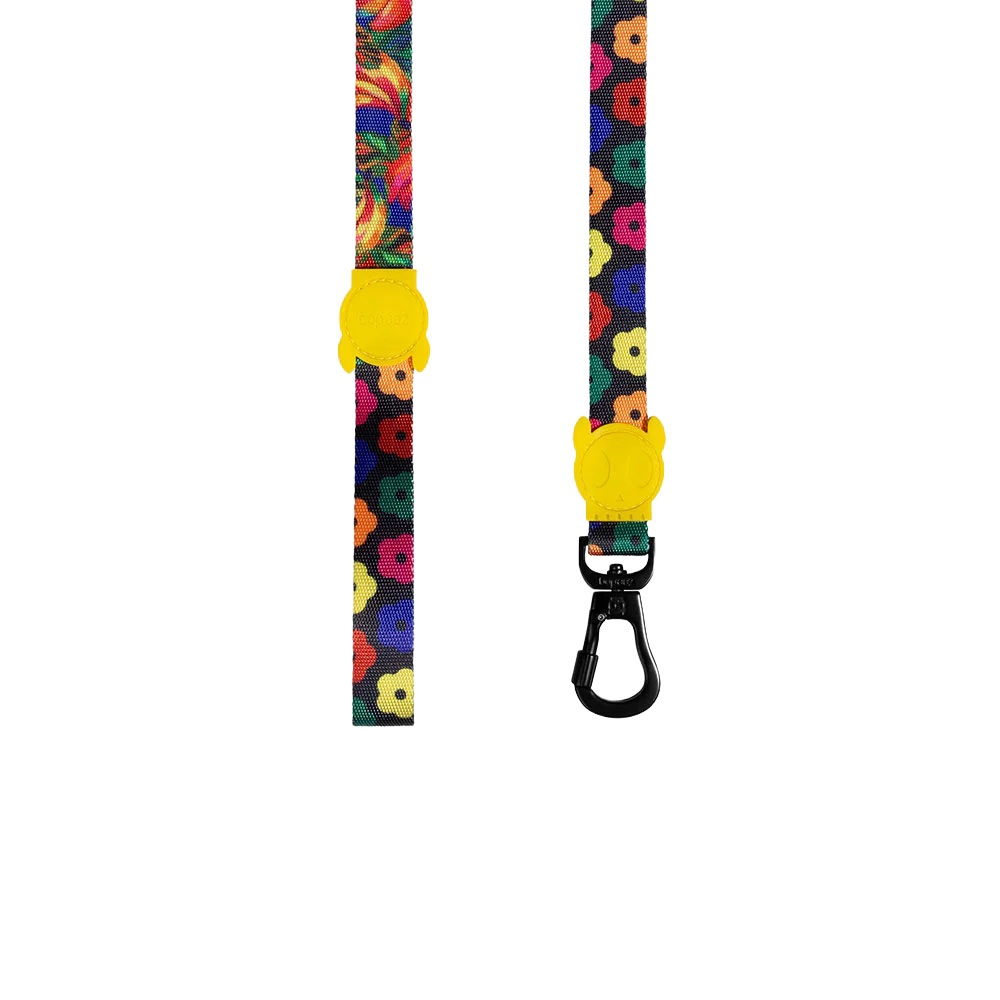 Pasjagajba-povodec-za-psa-zeedog-samba-1