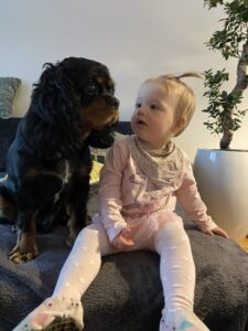 prihod-dojencka-in-pes