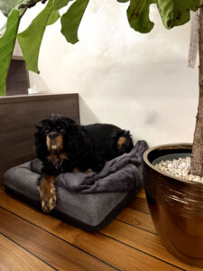 praksanje-se-ne-ustavi-1