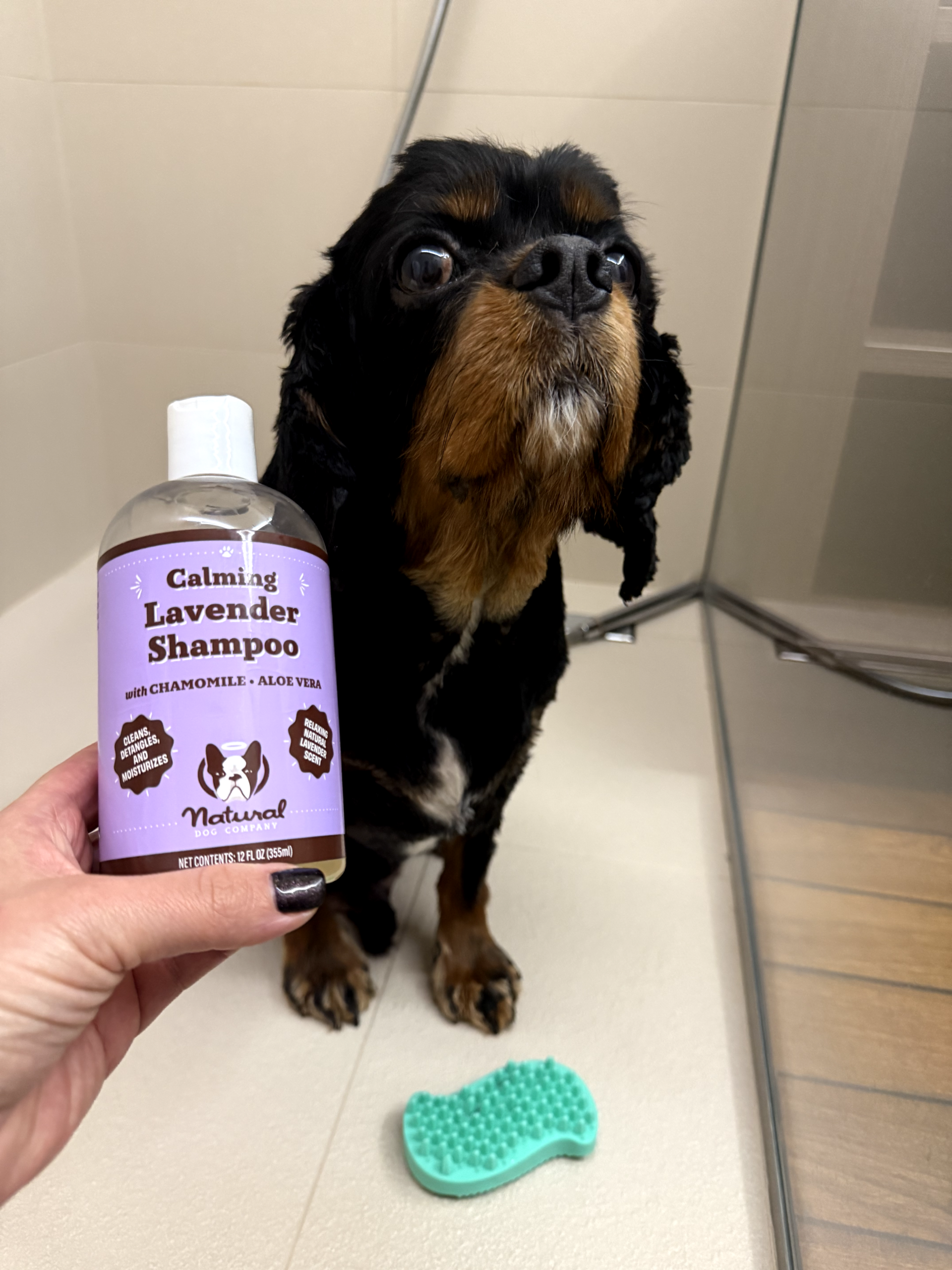 pasjagjaba-sampon-za-pse-ndc-1