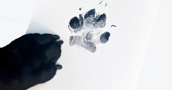 komplet_za_odtis_tack_0